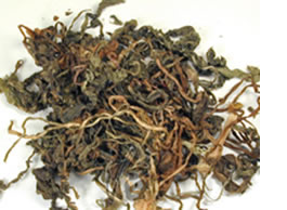 Pu Gong Ying